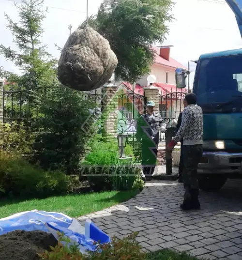Доставка